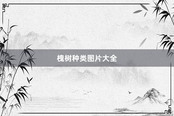 槐树种类图片大全