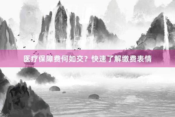 医疗保障费何如交?快速了解缴费表情
