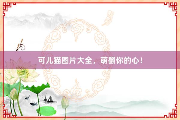 可儿猫图片大全，萌翻你的心！