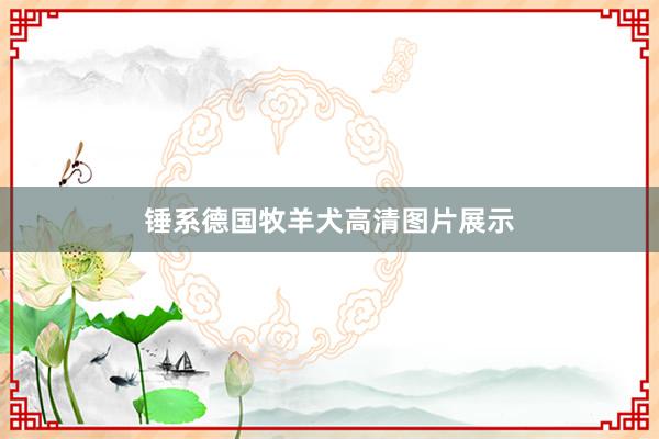 锤系德国牧羊犬高清图片展示