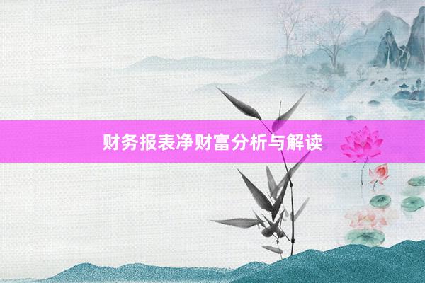 财务报表净财富分析与解读