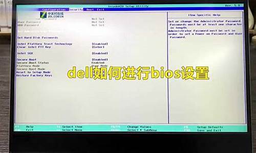 dell电脑bios设置光驱_dell bios设置光驱启动